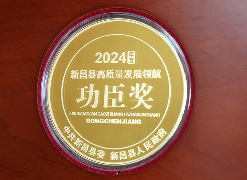 獎牌800.jpg